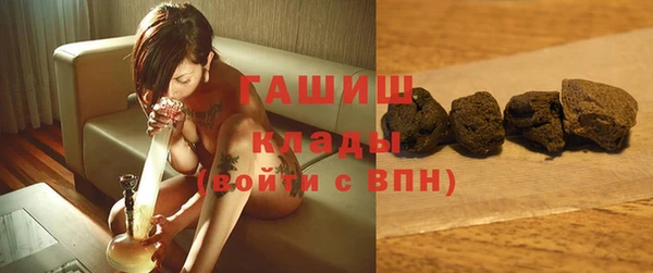 дживик Ельня