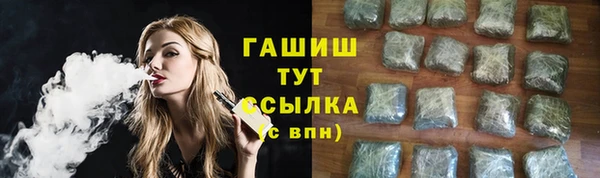 дживик Ельня