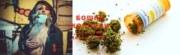 дживик Ельня