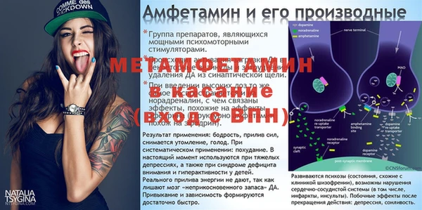 дживик Ельня