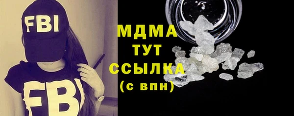 дживик Ельня