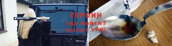 дживик Ельня