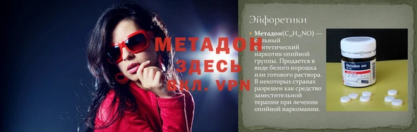 дживик Ельня