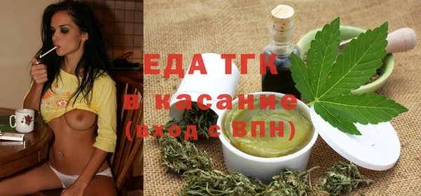 дживик Ельня