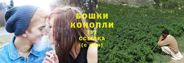 дживик Ельня