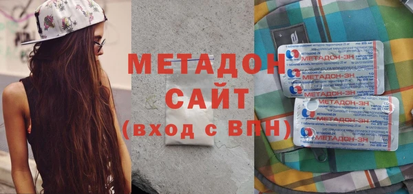 дживик Ельня