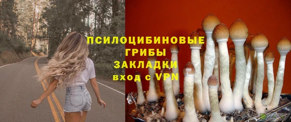 мет Елизово
