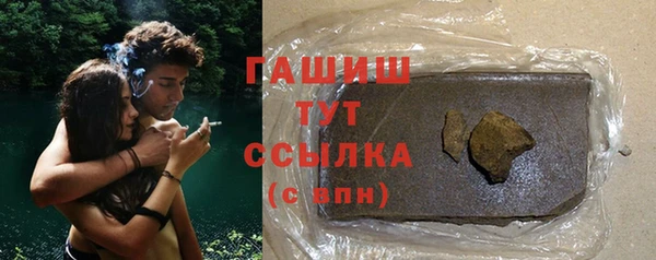 дживик Ельня