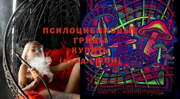 дживик Ельня