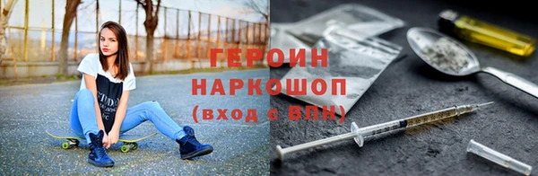 дживик Ельня