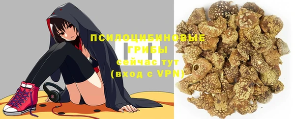 мет Елизово