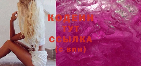 дживик Ельня