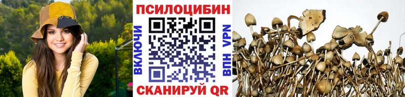 Псилоцибиновые грибы ЛСД  Рузаевка 