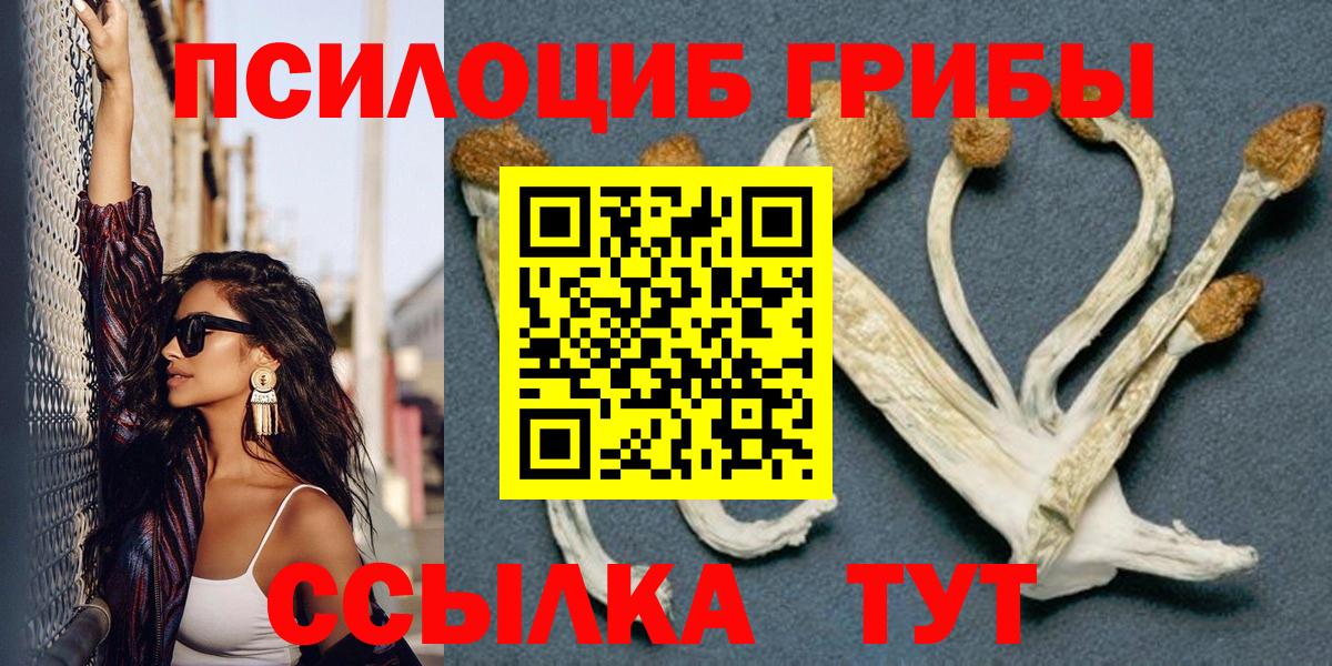 Псилоцибиновые грибы ЛСД  Рузаевка  Псилоцибиновые грибы мицелий 
