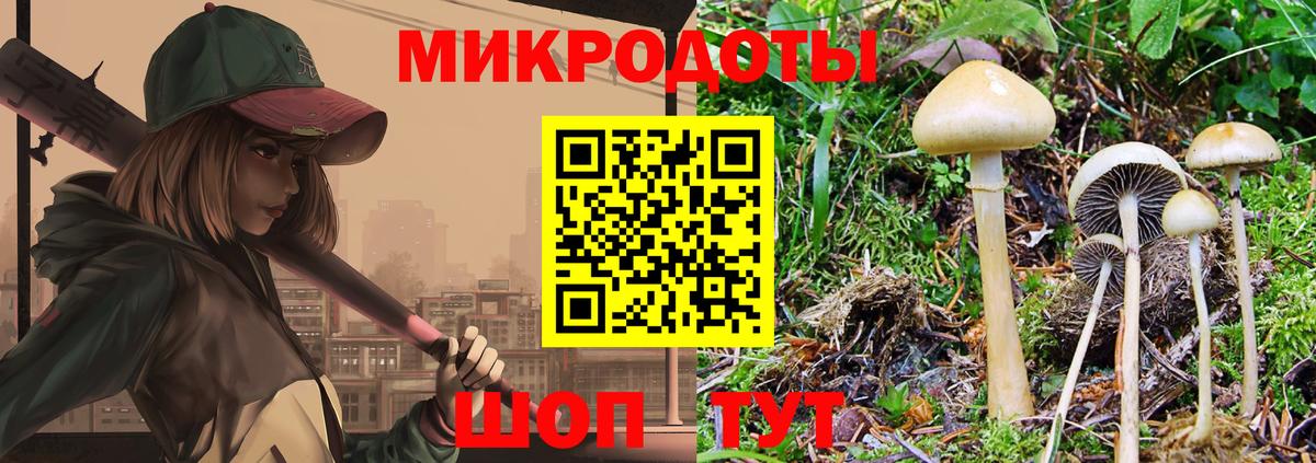 Псилоцибиновые грибы GOLDEN TEACHER Рузаевка